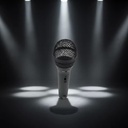 Customized Black Aluminum Die-Casting Electronic Microphone Housing for Karaoke Premium Quality Casting Services