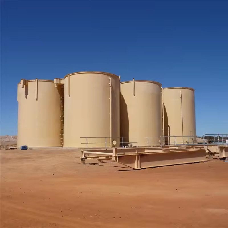 1tph Small Capacity Carbon-In-Leach(CIL) Gold Mining Recovery Processing,Mineral Separator Processing Working 24 Hours