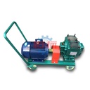 Large Flow Self Priming Petroleum Station Fuel Oil Centrifugal Transfer Pump Gear Pump High Pressure Standard Optional Equipped