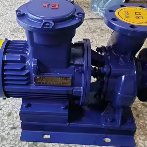 Oilfield Solid Control Drilling Centrifugal Sand RLISWB80-100IACentrifugal Pump