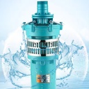 QY Electric Oil Pump Multistage High Pressure Water Pumping for Agriculture Irrigation Wastewater Treatment Oil Well Use