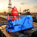 F-1000 Triplex Mud Pump 1000HP for Oilfield Drilling with 1 Year Warranty Manufacture