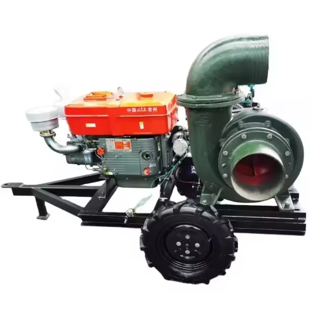 [XXZS-6DKH-YAXS] 