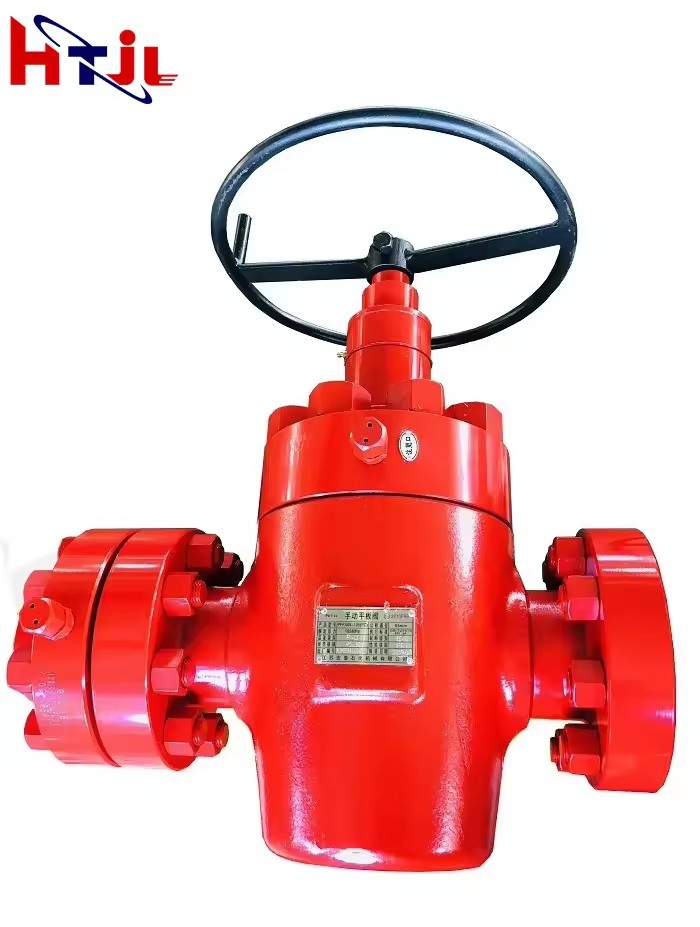 Customize Gate Valve with Bearing Core High Pressure API 6A for Oil and Gas Drilling Equipment 1 Year Warranty