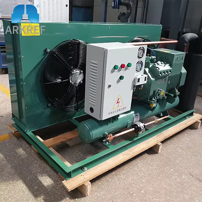 ARKREF CE Energy Saving Bitzer Compressor Condensing Unit Air Cooled Cold Room Condensing Unit Cold Room Compressor Unit
