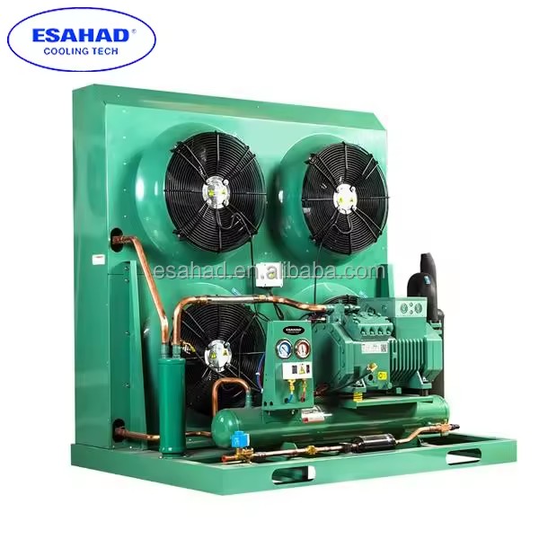 Automatic Energy Saving 4HE-18Y R404 Freezer Condensing Unit Refrigeration Open Type Condensing Unit
