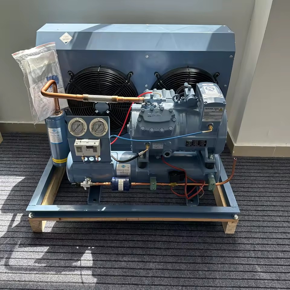 Chinese Supplier Two Fan 5hp 380V Copeland Compressor Motor Energy Saving Refrigeration Unit for Freezing and Preservation