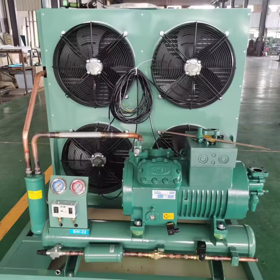 2HP-35HP 380V Energy Saving New Customized Condensing Unit with R290 Brand Compressor 3 Year Warranty and Motor