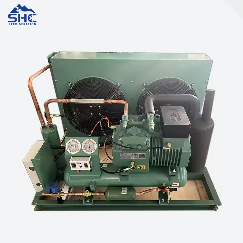 Cold Room Storage Walk in Freezer Equipment 5HP 4DES-5.2Y Condensing Unit Energy Saving Remote Control