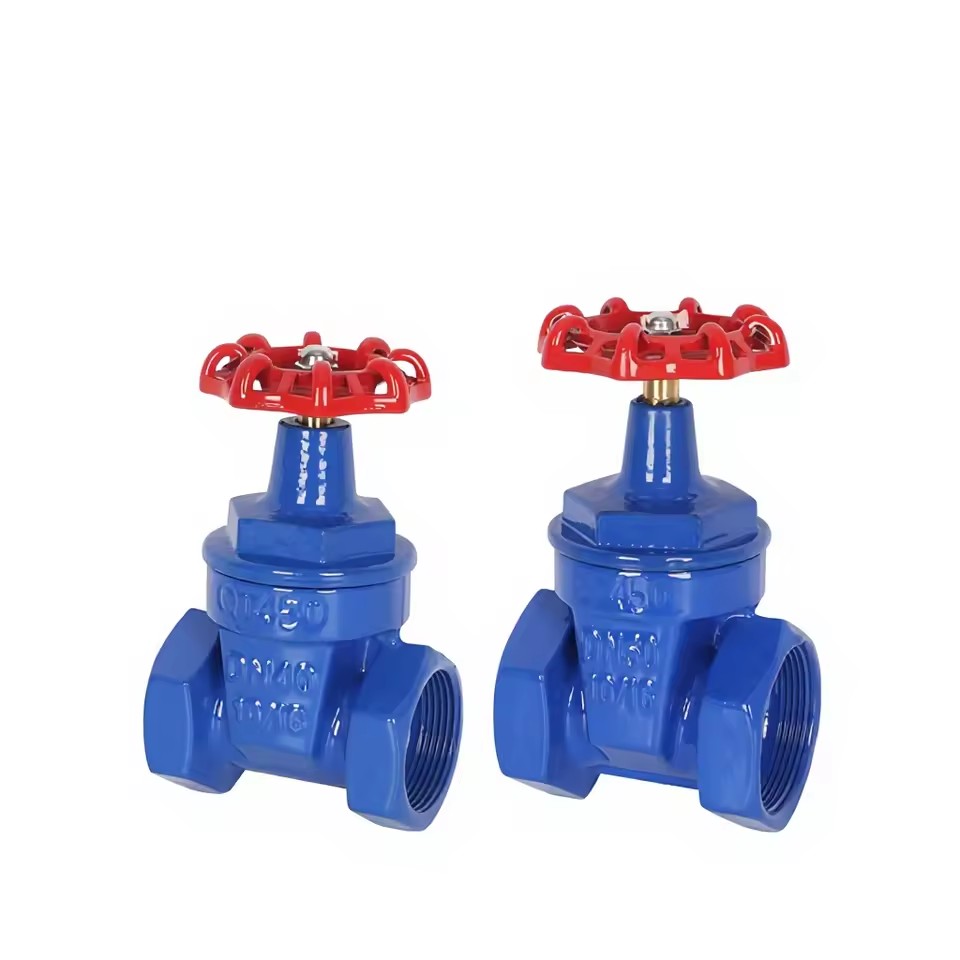 Threaded Elastic Seat Gate Valve Z15X-16 Internal Thread Soft Seal Copper Rod Fire Pipe Tap Water Cast Iron Valve