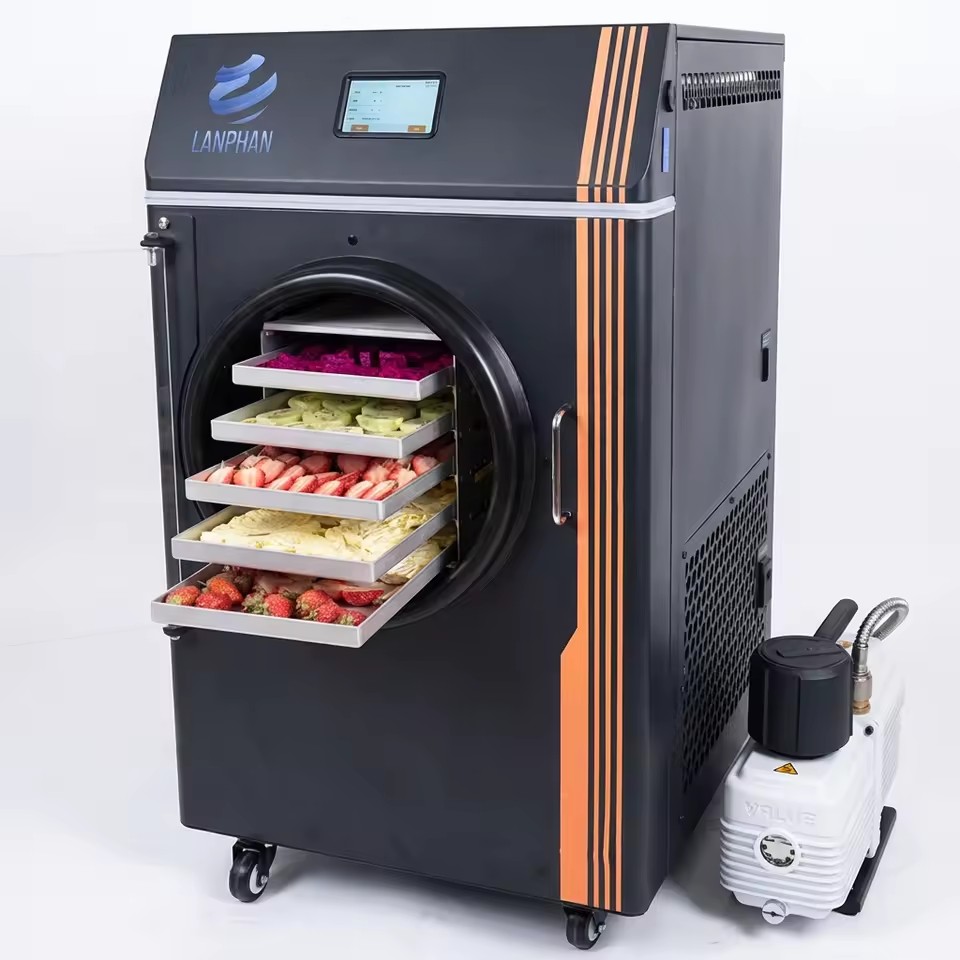 Energy Saving 6kg Small Freeze Dryer Food Fruit and Vegetable Sublimation Lyophilizer Machine Home with Vacuum Pump