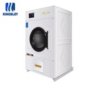 High Performance Efficient Energy-Saving 15kg Fully Automatic Natural Gas Dehumidifying Domestic Fabric Clothes Dryer