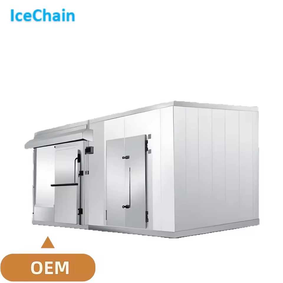Ice Snow Cold Chain Complete Cold Storage Equipment Solar Power Energy Saving Low Maintenance for Seafood Meat Fruit