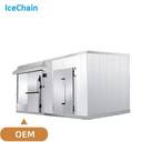Ice Snow Cold Chain Complete Cold Storage Equipment Solar Power Energy Saving Low Maintenance for Seafood Meat Fruit