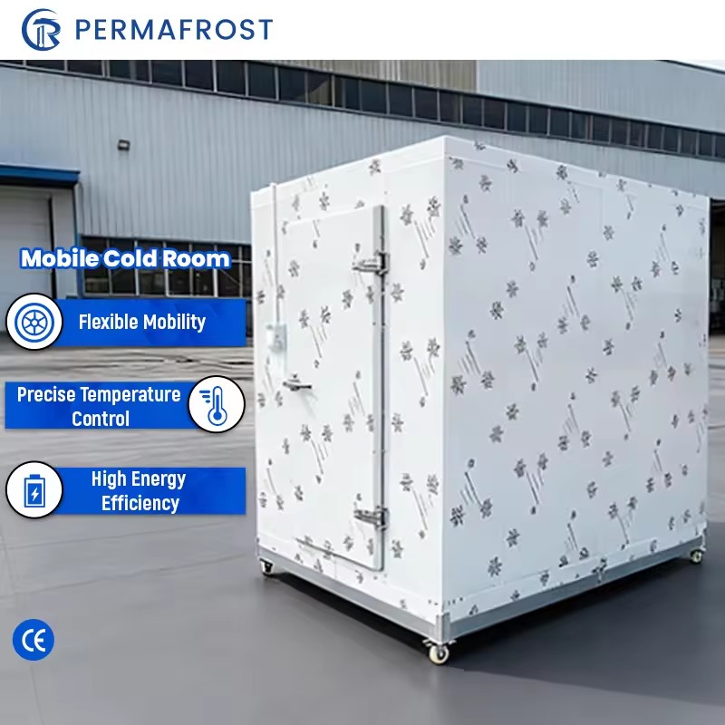 Energy Saving Solar Gear Small Refrigeration Equipment Cold Room Storage Ice Storage Fresh Food