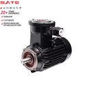 220kW 2980RPM YBX3 B14 Flange Mount Explosion Safe 2-Pole Three Phase Induction Motor for Oil & Gas Equipment