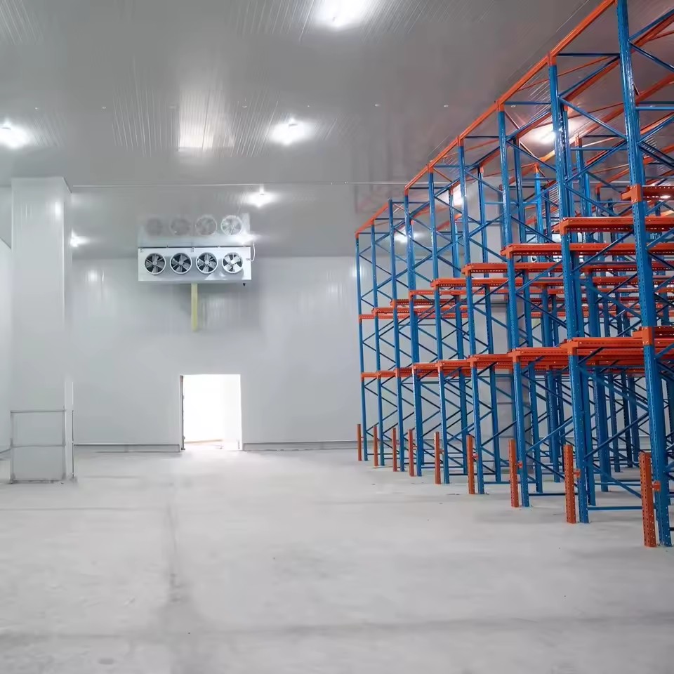 Energy -saving Cold Room for Onion Vegetable Fruit and Cool Storage Room