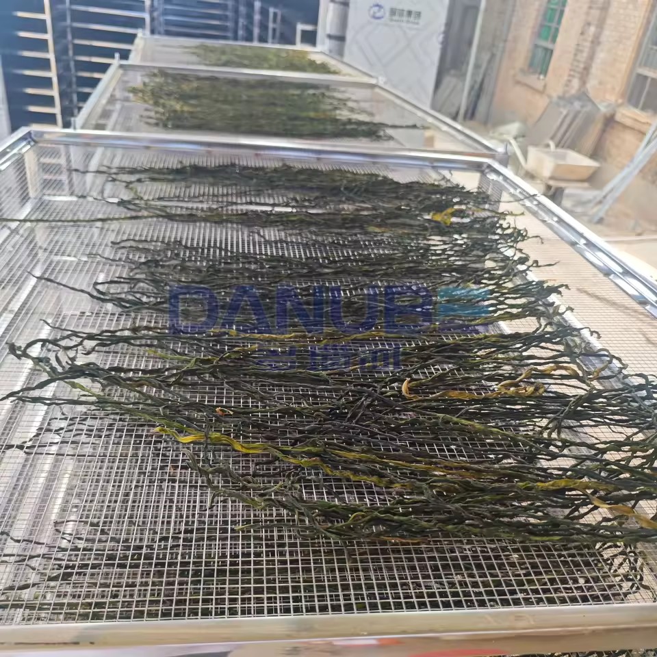 Energy Saving Heat Pump Drying Oven Room Green Beans Dryer Green Beans Dehydrator Equipment