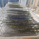 Energy Saving Heat Pump Drying Oven Room Green Beans Dryer Green Beans Dehydrator Equipment