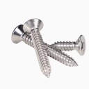 304 Stainless Steel KA Screw Countersunk Cross Head Self Tapping Screw KA Self Tapping Screws for Wood Plastic