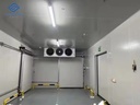 Modular Cold Storage Warehouse Project Energy Saving Inverter Quick Installation GMP Standard