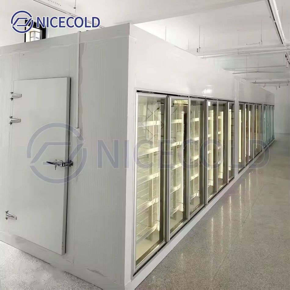 Energy-Saving Walk-in Display Cooler Cold Room with LED Lighting and Glass Door for Fresh Food