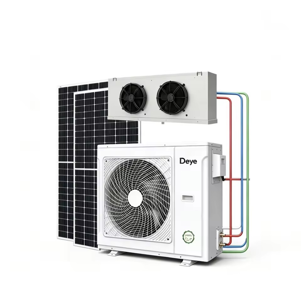 Large Scale DEYE Compressor Energy Saving Solar Cold Storage for Meat Vegetable Fruit Refrigeration Warehouse