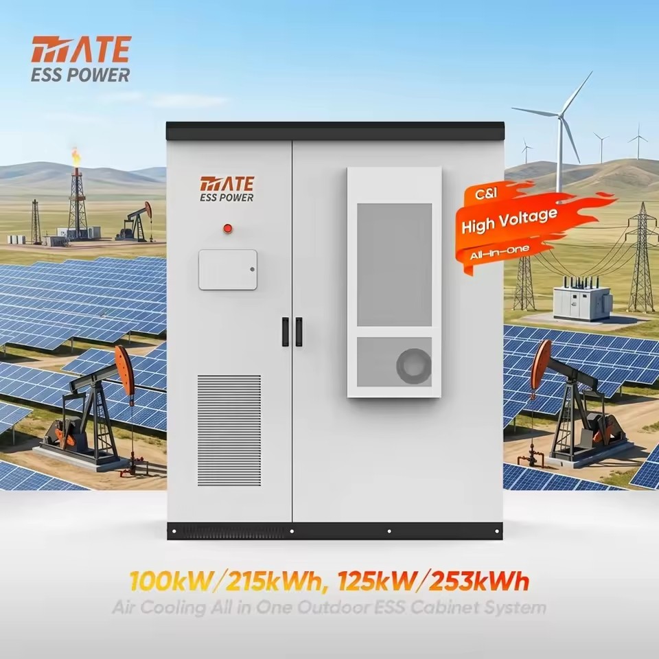 BESS LiFePO4 Battery Outdoor Cabinet Energy Storage System 100kW 215kWh 125kW 253kWh Air Cooled for Oil Field Power Supply