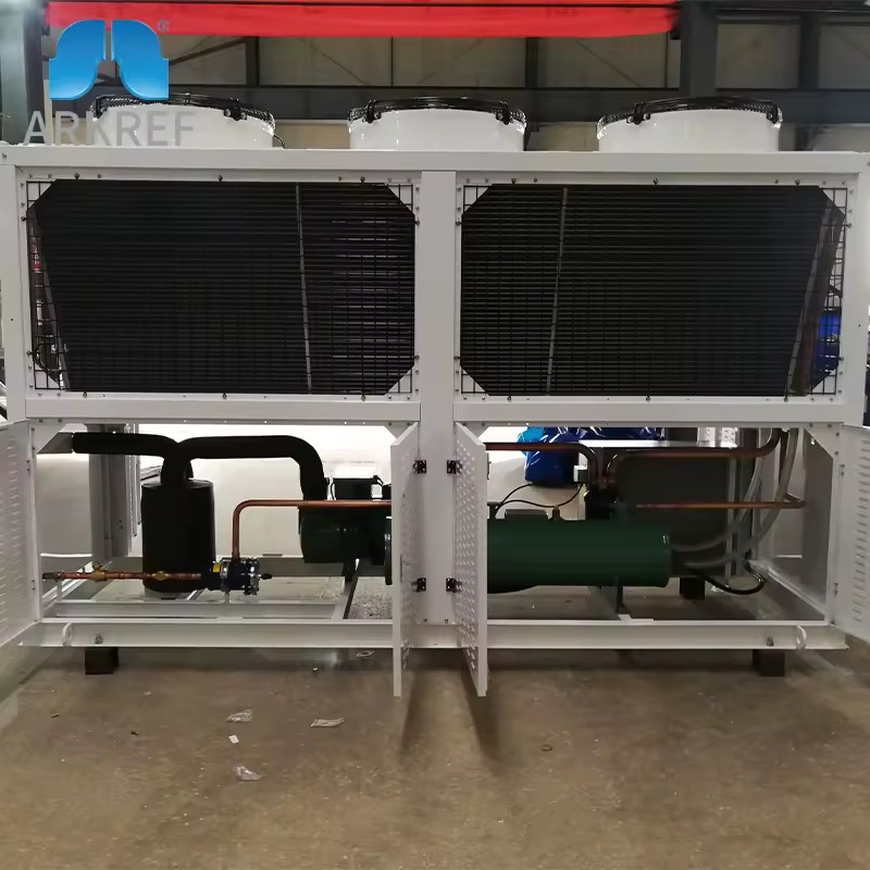 New Energy Saving R410A Automatic Air Cooled Condensing Unit for Cold Storage Room