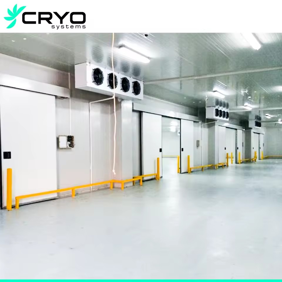 New Food Farms Vegetable & Fruit Refrigerator Cold Storage with Engine Motor Pump Solar Panel Energy Saving