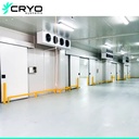 New Food Farms Vegetable & Fruit Refrigerator Cold Storage with Engine Motor Pump Solar Panel Energy Saving