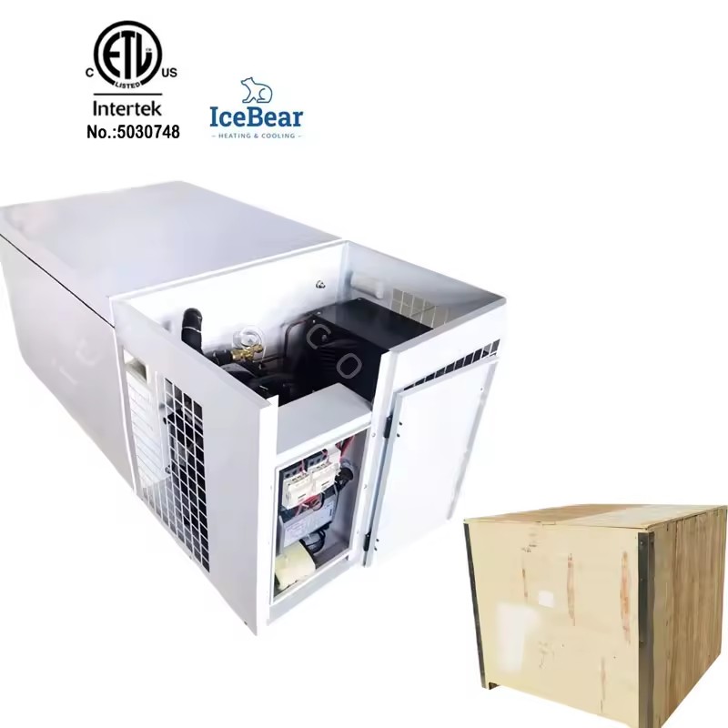 Energy-Saving Cold Storage Monoblock System Refrigeration Unit New Roof Mounting Equipment for Supermarket