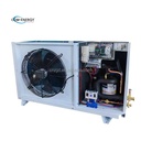 High Efficiency Home & Marine Condensing Units Energy-Saving Motorized Refrigeration Systems