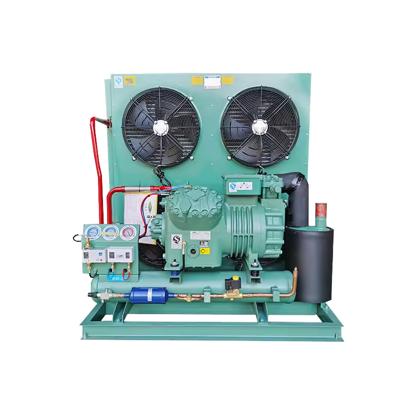 2023 New Design Energy Saving Motor 15HP Air Cooled Refrigeration Equipment Condensing Unit for Cold Walk-in Cold Storage Room