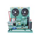 2023 New Design Energy Saving Motor 15HP Air Cooled Refrigeration Equipment Condensing Unit for Cold Walk-in Cold Storage Room