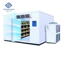 Industrial Blast Freezer Frozen Panel Chambre Froide Cold Storage Cold Room Price with Refrigeration Compressor Unit Equipment