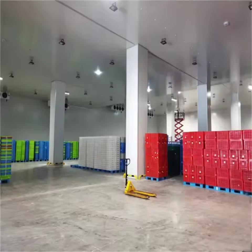 Modular Constant Temperature Cold Storage Room with PU Insulation for Meatball Processing Cold Chain Logistics