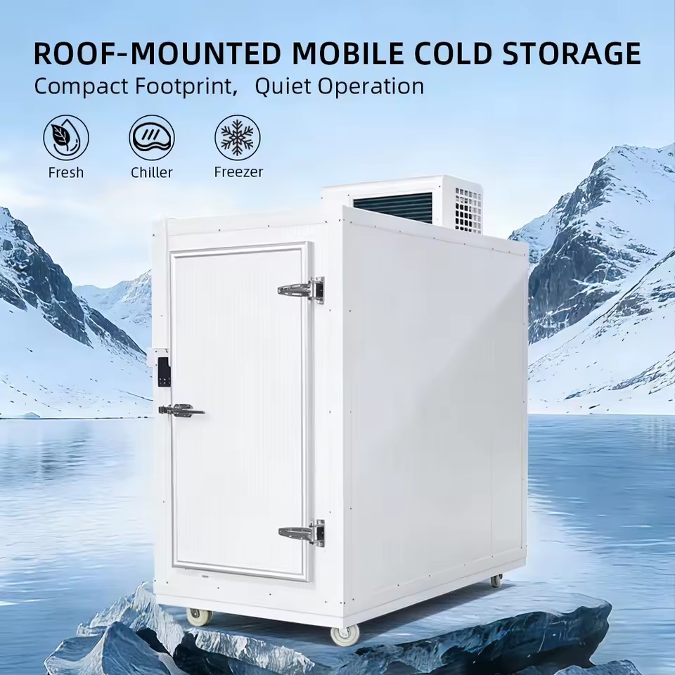 Professional Energy Saving Cold Room Storage for Fresh Fruit Vegetable Storage with Automatic Sliding Door and CE Certification