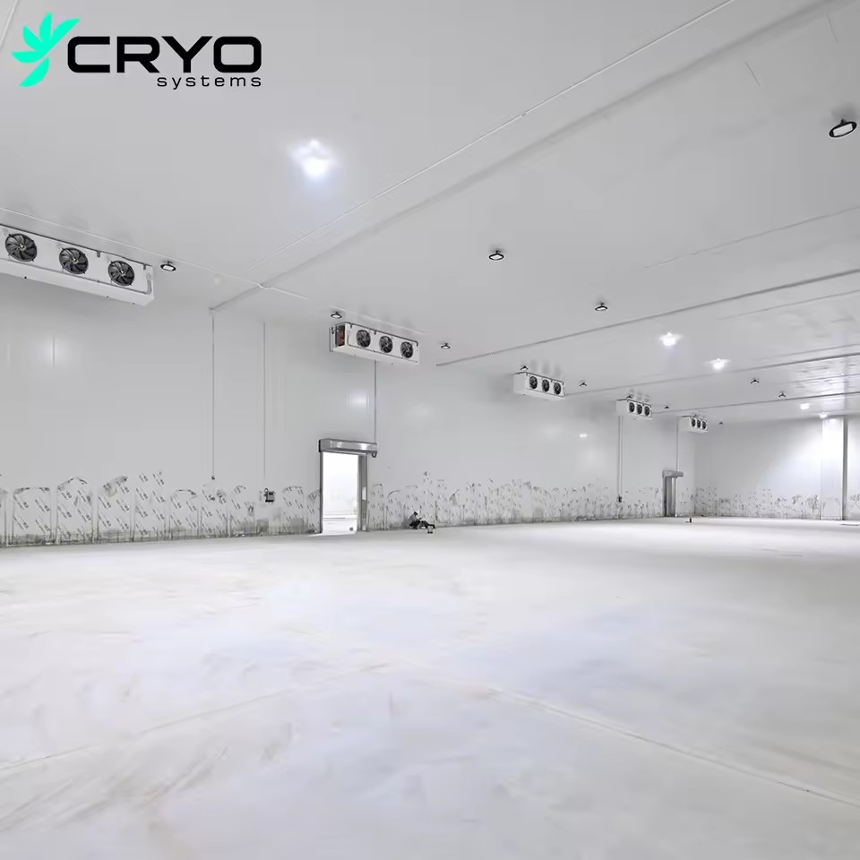 Logistics Cold Storage Freezer Cold Room Project Walk Chiller Cooler Pu Panels Quick Freezing Tech Energy Saving