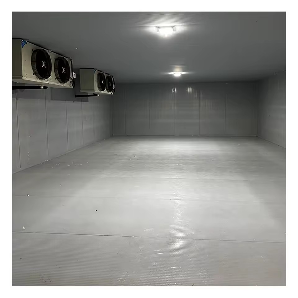 Large Scale Cold Room Freezer Low Temperature Frozen Meat Storage Air Cooled Refrigeration Unit and System