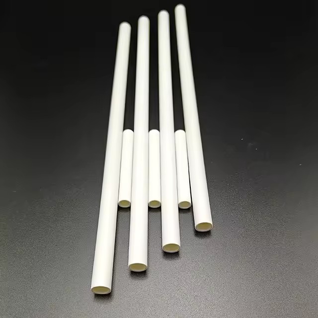 Customizable Length PVC Plastic Pipe 10mm Outer Diameter Durable and Spliceable