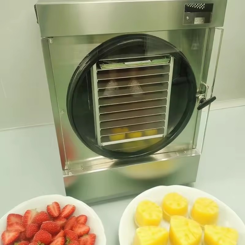 Household Freeze Dryer Machine 6kg 10kg 15kg 25kg 30kg Automatic PLC Pump SUS304 for Food Processing