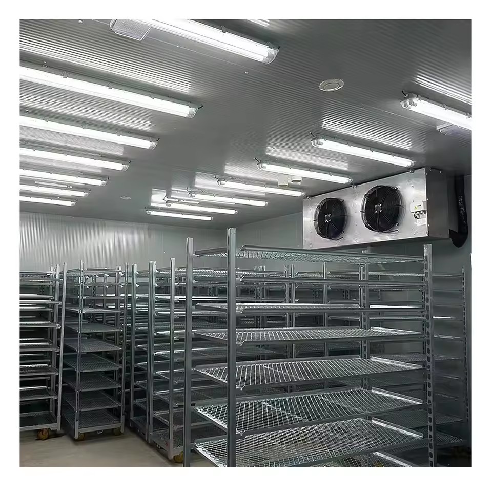 Evaporative Cooler Cold Room for Fish Cold Storage Room 2000TonS Build Freezers Energy-saving Cooling Container Chambre Froide
