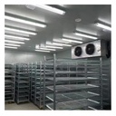 Evaporative Cooler Cold Room for Fish Cold Storage Room 2000TonS Build Freezers Energy-saving Cooling Container Chambre Froide