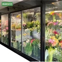 Energy-Saving Customizable Size and Layout Modular Construction Walk-in Display Cold Storage Room Durable Construction