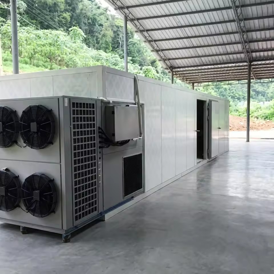 Aroma-Lock Squid & Cuttlefish Dryer Machine | Professional SUS304 Seafood Dehydrator | Smart PLC High Output Industrial System
