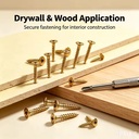 High Quality Multi Specification Carbon Steel Dry Wall Nail