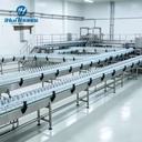 Medium & Small Bottled Drinking Water Production Line Complete Pure Water Filling Line Equipment