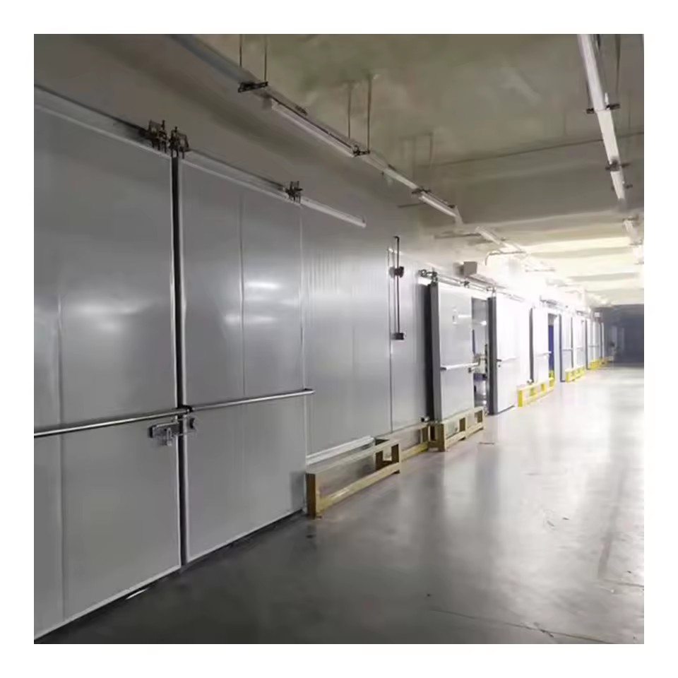 Blast Freezer Container Cooling System Reefer Container Vegetable Cold Room Refrigerator Walk in Fridge Refrigeration Equipment