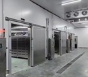 Intelligent Automatic Temperature Control Large Meat Cold Storage Copeland Solar Powered One Stop Construction for Food Factory